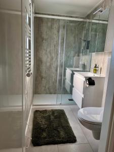 a bathroom with a shower and a sink and a toilet at Sallands Boschalet in Haarle