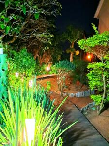 a garden at night with plants and lights at BlueSkyMining in Kingsborough +16 photos