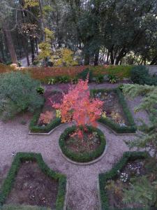 Vonkajšia záhrada v ubytovaní Villa Humbourg