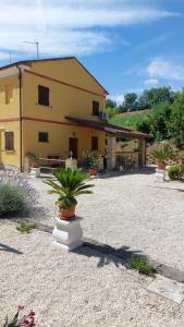 a yellow building with potted plants in front of it at Agriturismo Fattoria Del Colle By Enrico in Casa Cappanera