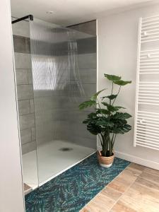 a shower with a potted plant in a bathroom at Les Gites de Pilot in Lussac +9 photos