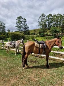 twee paarden in een veld naast een hek bij Pousada Fazenda e Pesqueiro Chalé da serra in Conceição da Ibitipoca