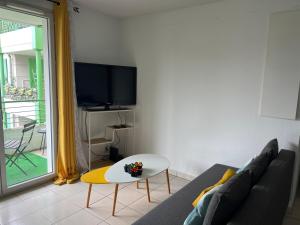 a living room with a couch and a table and a tv at Appartement tout confort avec parking privé in Montréjeau +16 photos