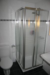 a bathroom with a shower and a toilet and a sink at Mayens de l Ours AZ 013 - MOUNTAIN apartment 8p in Agettes