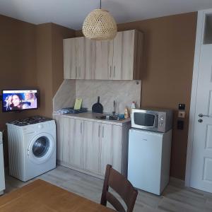 Η κουζίνα ή μικρή κουζίνα στο Sunny Fox Apartment