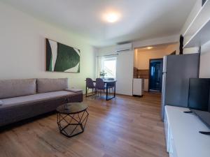 TV a/nebo společenská místnost v ubytování Cozy apartment with breakfast on request 1