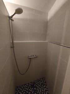 a shower with a shower head in a bathroom at Appartement des machines in Nantes