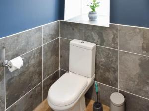 a bathroom with a white toilet in a tiled wall at Riverview Cottage at Lido Leisure Park in Knaresborough