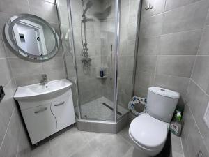 a bathroom with a shower and a toilet and a sink at Tatiana apartment in Chişinău +14 photos