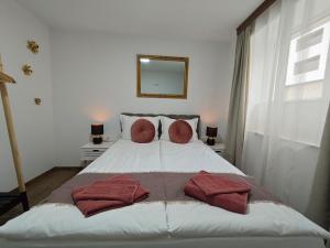 a bedroom with a bed with red pillows on it at Апартаменти Белчини in Dobrinishte