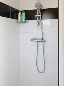 a shower with a shower head in a bathroom at La Maison des Hirondelles in Lachelle +23 photos