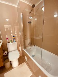 a bathroom with a toilet and a glass shower at Arriendo 1 Departamento Diario Amoblado en Edificio Pleno Centro de Osorno Full Eléctrico y Estacionamiento Techado, Comodidad, Moderno y Seguridad in Osorno