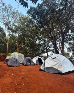a group of tents in a field with trees at The Tribe Yelagiri Camping in Yelagiri