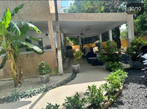 eine Terrasse mit vielen Pflanzen im Garten in der Unterkunft Villa mango in Somone