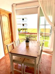 a wooden table with chairs and a potted plant on it at Apartamento a pie de playa en El Portil in El Portil