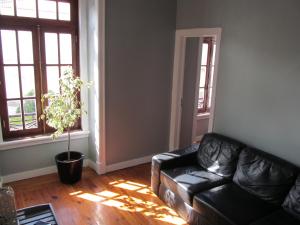a living room with a leather couch and a plant at Casa Azul Hostel in Sintra