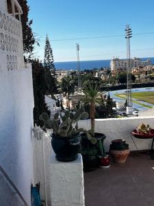 a plant in a pot on the side of a wall at La casa de Elisabeth in Nerja