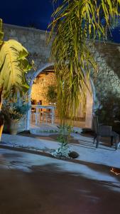 a palm tree in front of a building with a bench at Rida Village Ksamil Island in Ksamil
