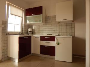 Kuchyň nebo kuchyňský kout v ubytování Apartments Ana