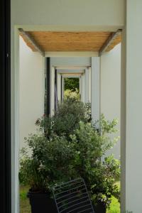 Imagen de la galería de Sevene Villas - Kourouta Peloponnese, en Petroúlai