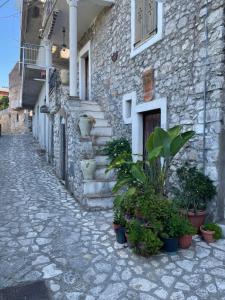 un edificio in pietra con scale e piante in vaso su una strada di Sole e Luna a Suio