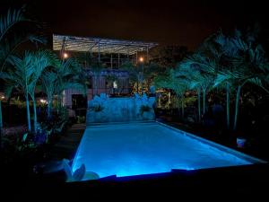 a swimming pool lit up at night with palm trees at Casa tipica in Fortuna