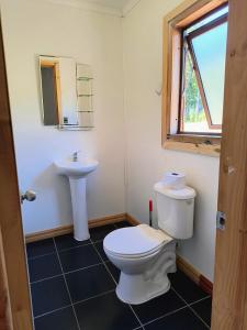 a bathroom with a toilet and a sink at Casa de Campo a 15 minutos de Villarrica in Catrico +14 photos
