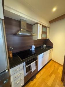 kuchnia ze zlewem i kuchenką górny piekarnik w obiekcie Apartamentos Casa de La Inmaculada w Santiago de Compostela