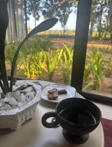 Cibo presso il bed & breakfast o nelle vicinanze
