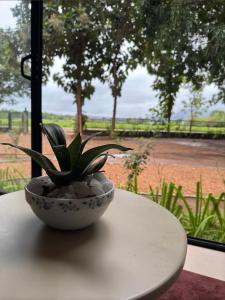 Paesaggio naturale nelle vicinanze del bed & breakfast