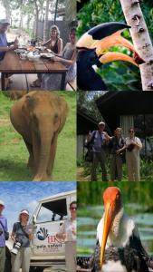 Altri animali domestici presso il bed & breakfast o nei dintorni