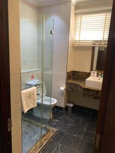 a bathroom with a shower and a toilet and a sink at The Sojourner By Genesis in Ikeja