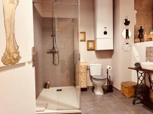 a bathroom with a shower with a toilet and a sink at Le Tailleur, centre historique, fibre, climatisation, ESS, rez-de-chaussée, BedinShop in Romans-sur-Isère +9 photos