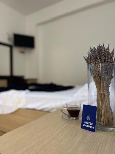 TV a/nebo společenská místnost v ubytování Hotel Jonufra
