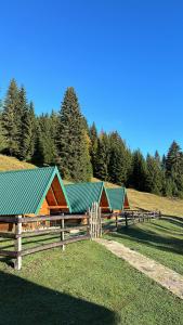 a group of barns with green roofs in a field at KOLIBA Marijanović in Andrijevica