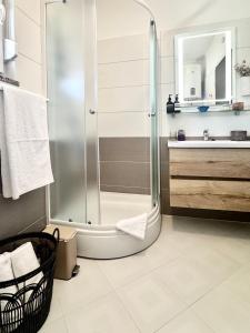 a bathroom with a shower and a sink at Apartments Terra Solaris in Medulin
