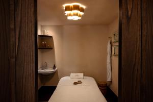 巴黎Château des Fleurs Hôtel & Spa Paris的一间有床和水槽的小房间
