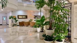 a lobby with a bunch of potted plants at Hotel Almirante Cartagena Colombia in Cartagena de Indias