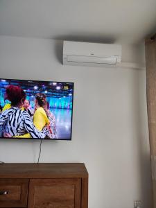Televízia a/alebo spoločenská miestnosť v ubytovaní Apartament Parkowa