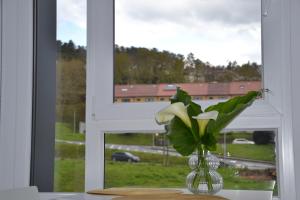 a vase of flowers sitting on a table in front of a window at Avío Apartamentos in Santiago de Compostela