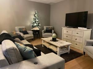 a living room with a television and a christmas tree at Gite Nicole in Jeuxey