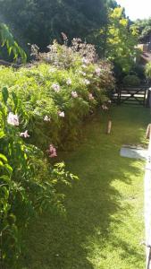 a garden with pink flowers and a bench on the grass at REGIO CHALET 250m del mar Cerca del centro con JARDIN in Valeria del Mar +6 photos