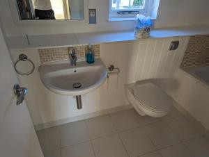 a bathroom with a sink and a toilet at Saltbox B4 holiday cottage in Freshwater
