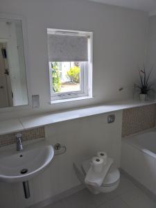 a bathroom with a sink and a toilet and a window at Saltbox B4 holiday cottage in Freshwater