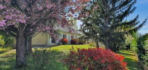 Saint-Clément-des-LevéesにあるLa belle échappéeの庭の木と花の家