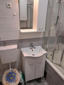 une salle de bain avec lavabo et douche dans l'établissement Stan Lojkić, à Zagreb
