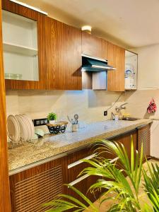 a kitchen with wooden cabinets and a counter top at SkyNest in Dehradun