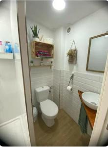 a bathroom with a white toilet and a sink at CASITA PINYPON in Jerez de la Frontera