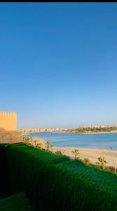 a view of a beach with palm trees and the ocean at شاليه في قريه الاندلسية صف اول Andalusian Village, Marsa Matrouh in Marsa Matruh