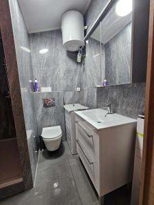 a bathroom with a sink and a toilet and a mirror at Apartman SEA VIEW in Vantačići +20 photos